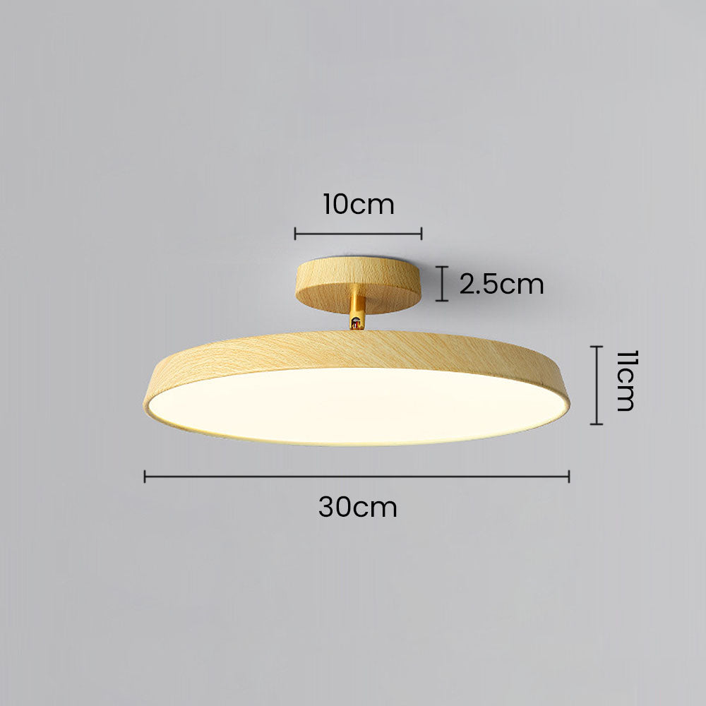 ceiling light – 19