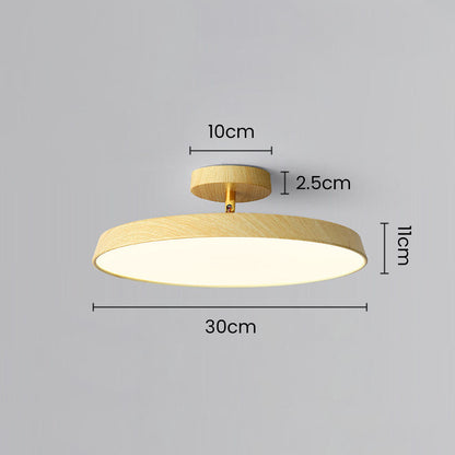 ceiling light – 19