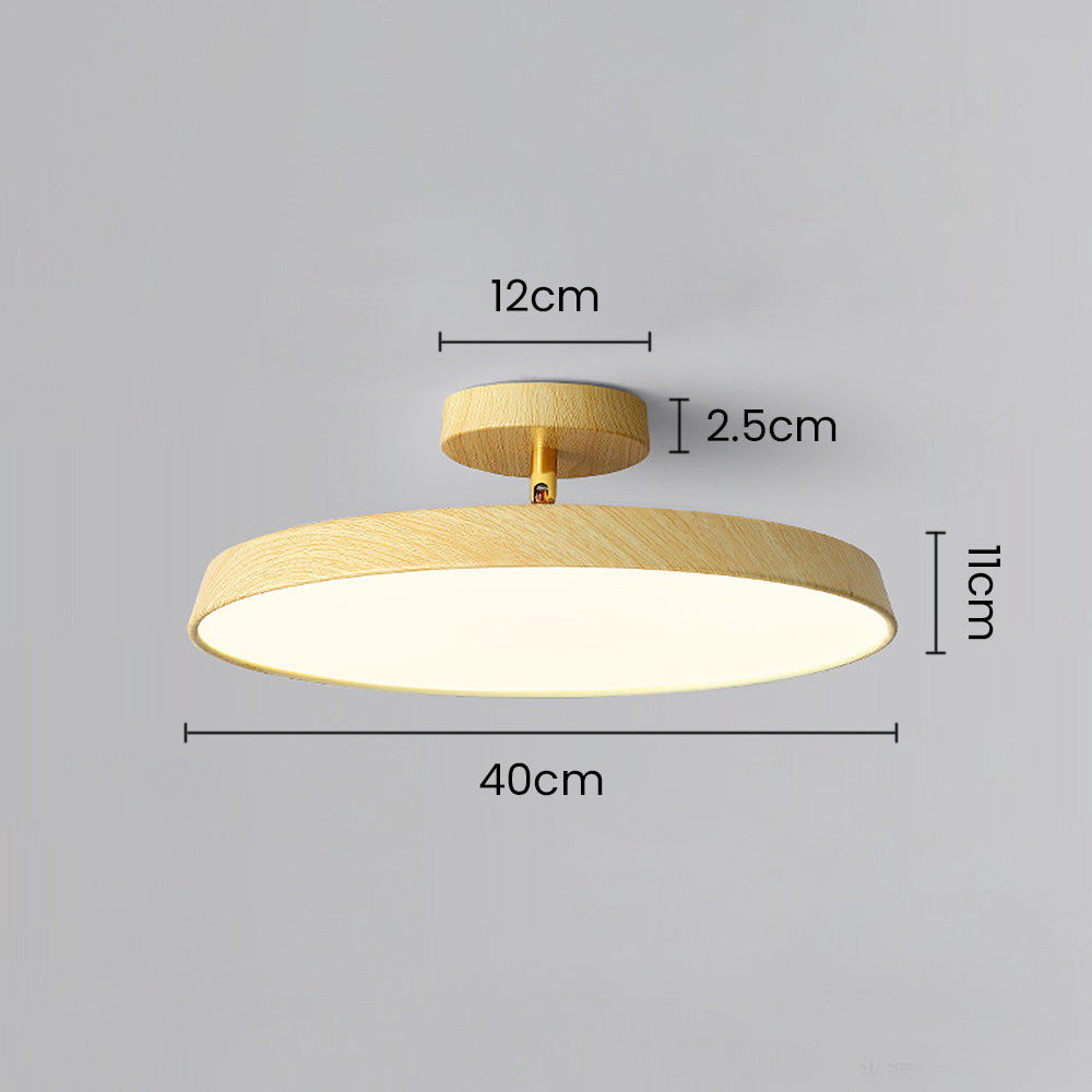 ceiling light – 20