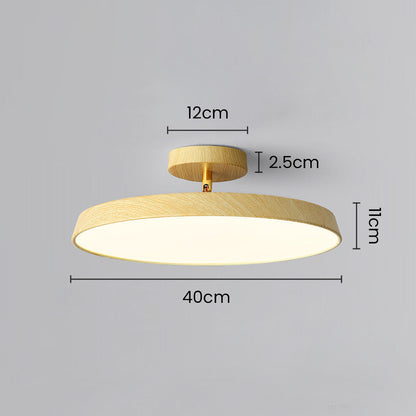 ceiling light – 20