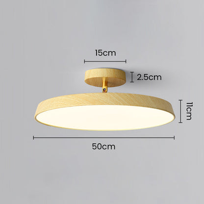 ceiling light – 21