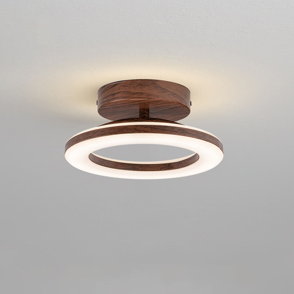 ceiling light – 12