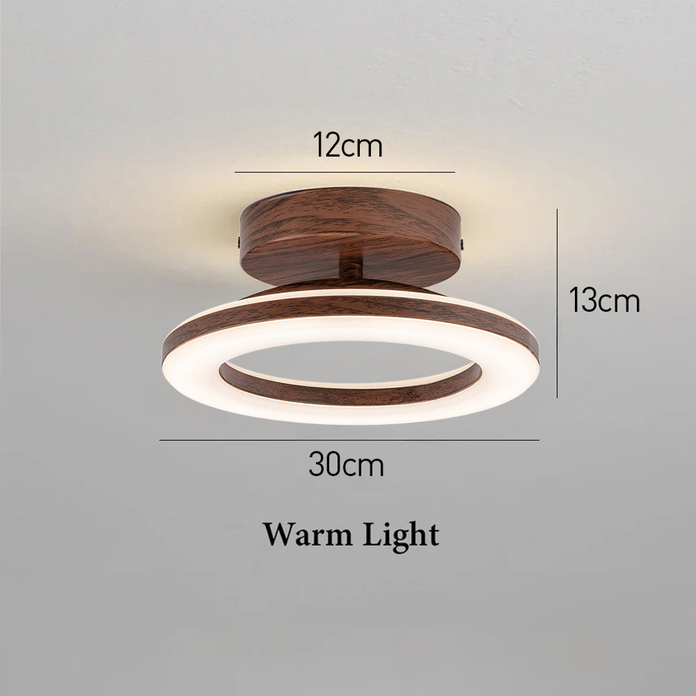 ceiling light – 16