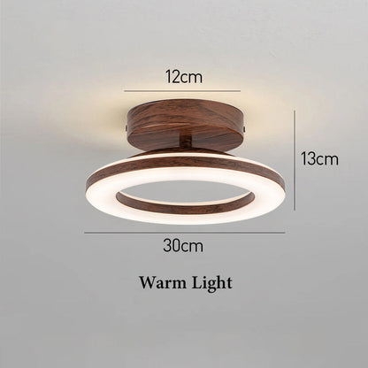 ceiling light – 16