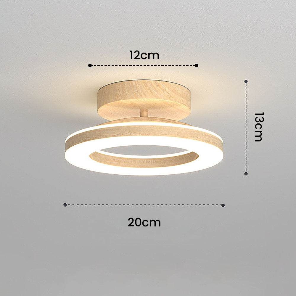 ceiling light – 6