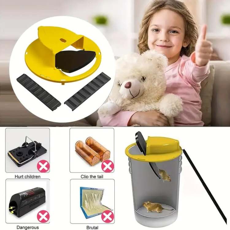 cleaning – 4