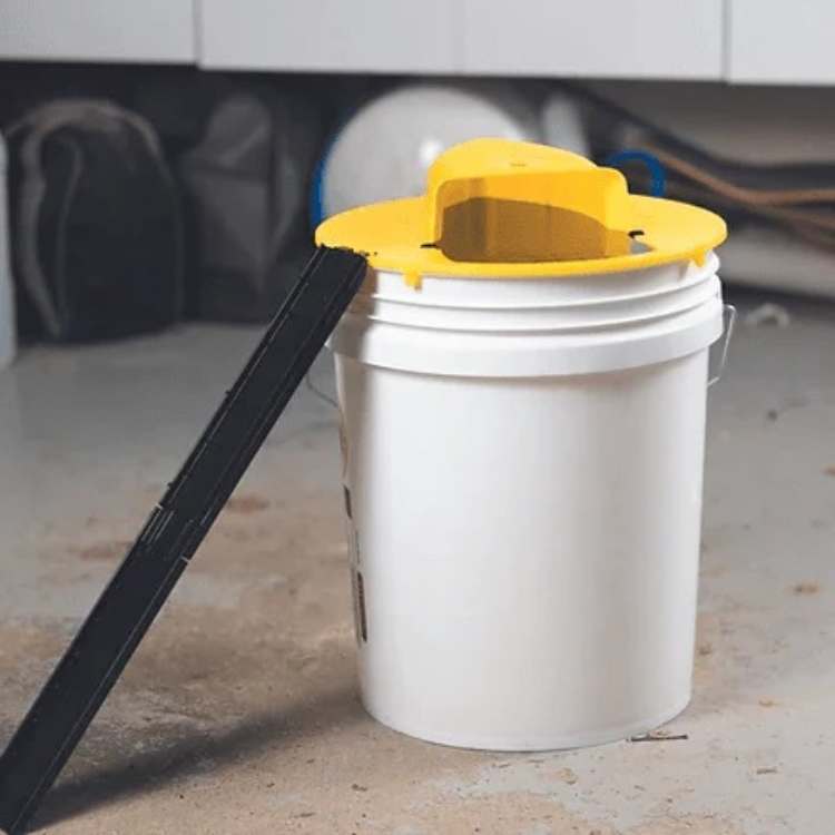 cleaning – 5