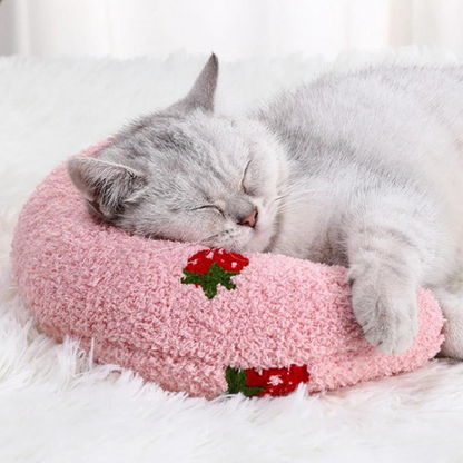 cushion