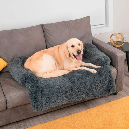 dog bed
