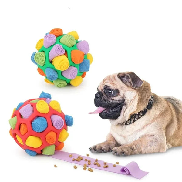 dog toy – 3