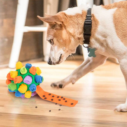 dog toy