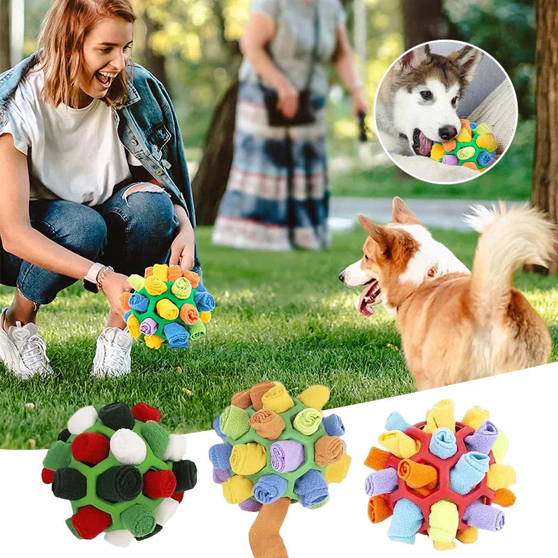 dog toy