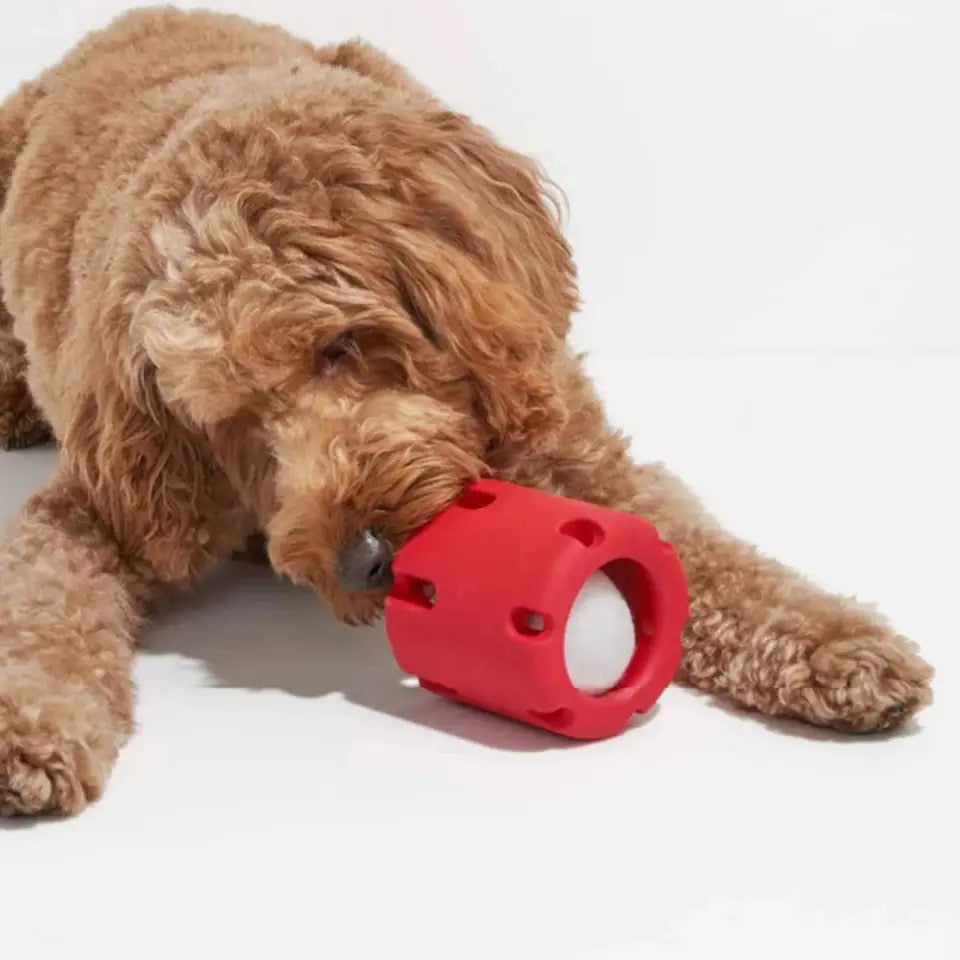 dog toy – 2