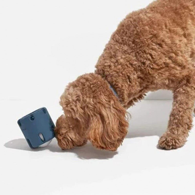 dog toy – 3