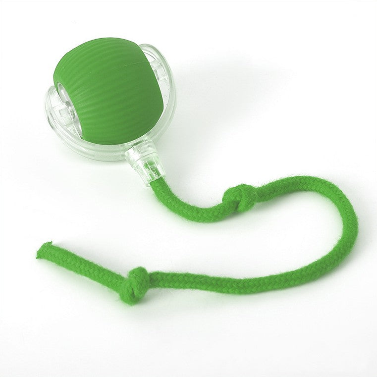 dog toy – 6