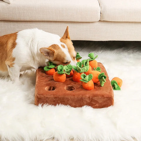 dog toy