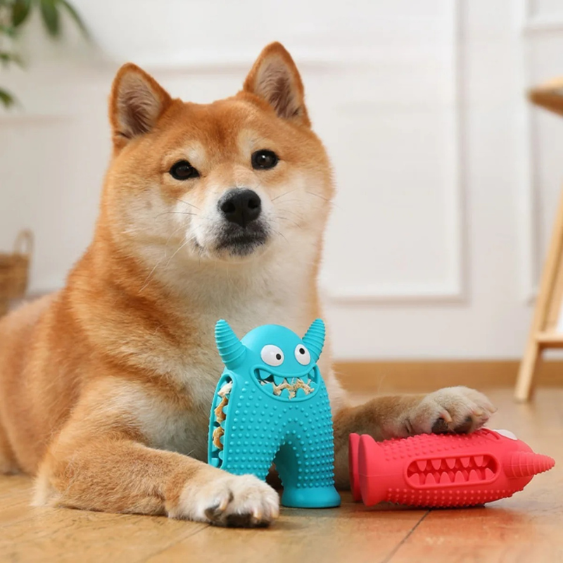 dog toy