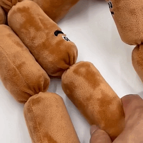 dog toy