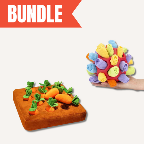 dog toy
