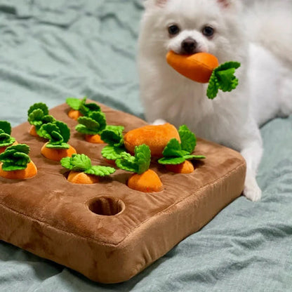 dog toy