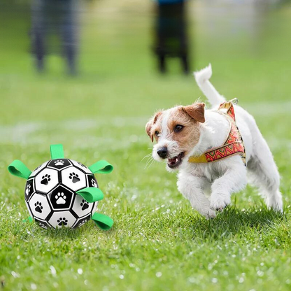 dog toy