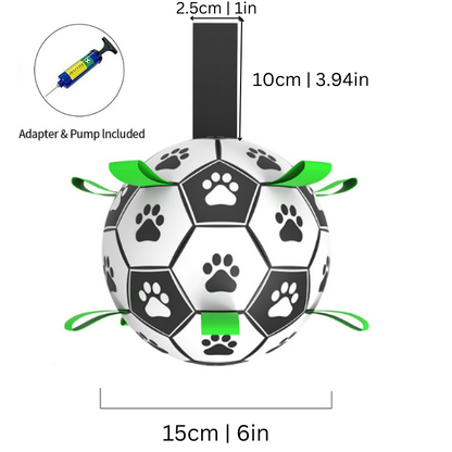 dog toy – 2