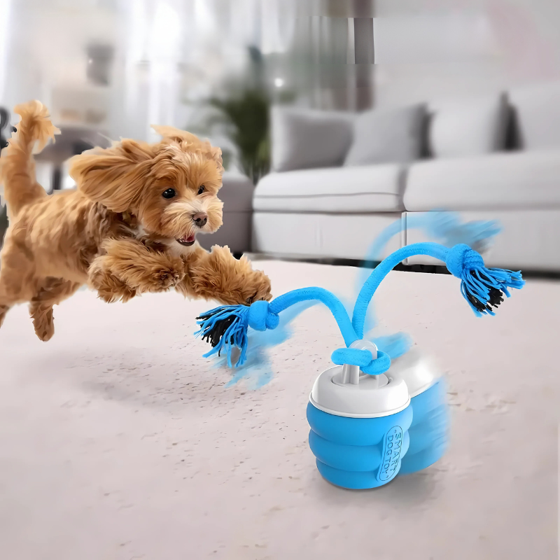 dog toy