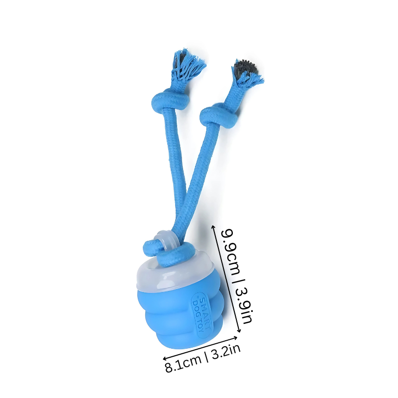 dog toy – 2