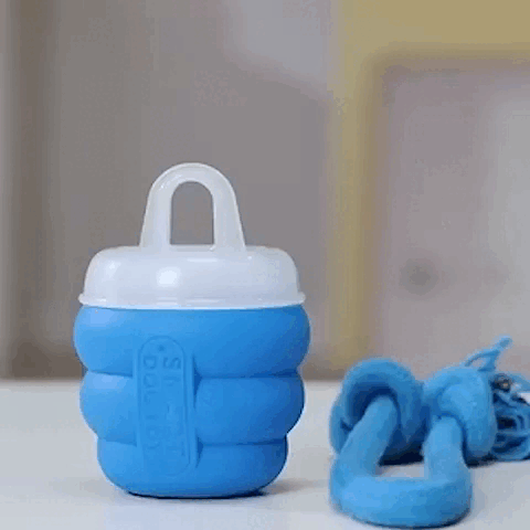 dog toy