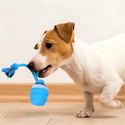dog toy
