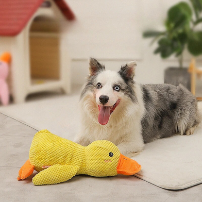 dog toy
