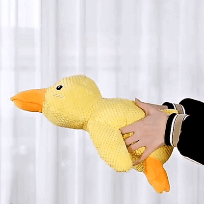 dog toy