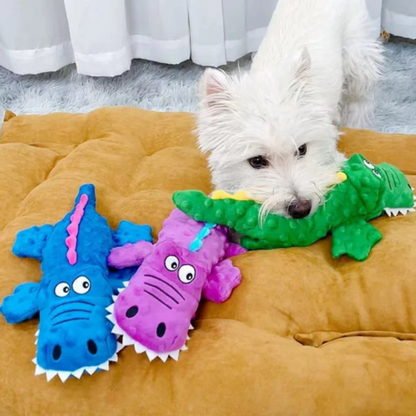 dog toy