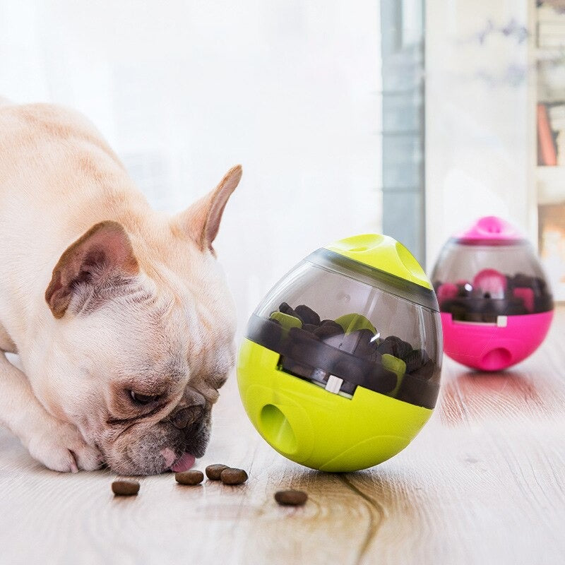 dog toy