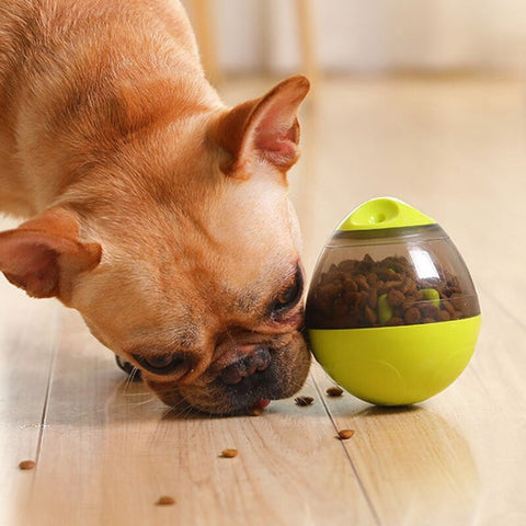 dog toy