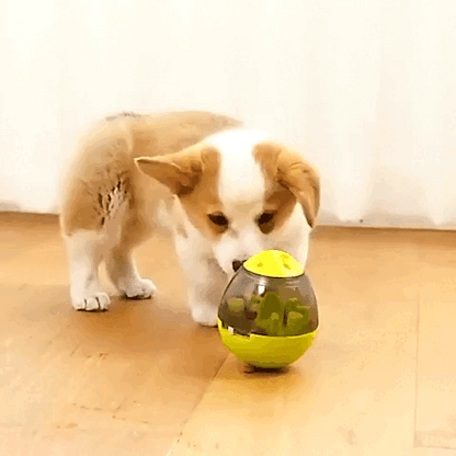 dog toy