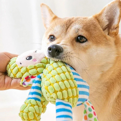 dog toy