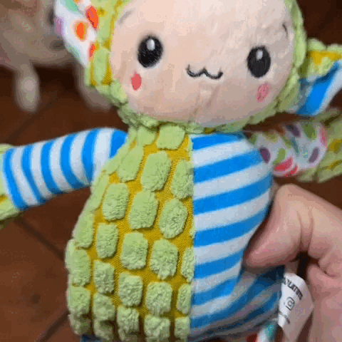 dog toy