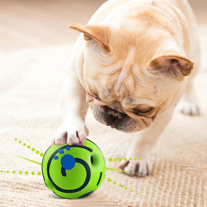 dog toy