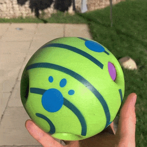 dog toy