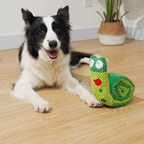 dog toy