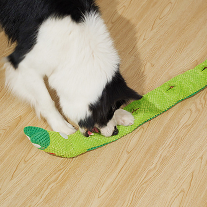 dog toy
