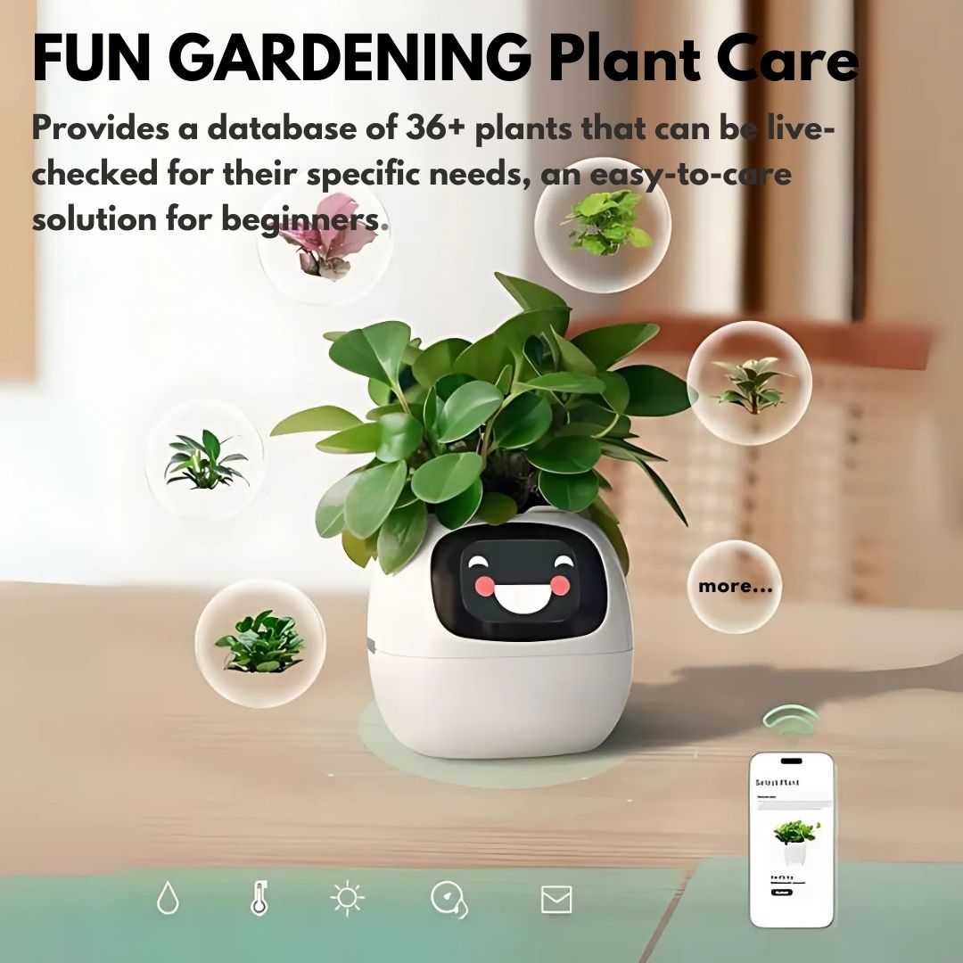 gadget – 10
