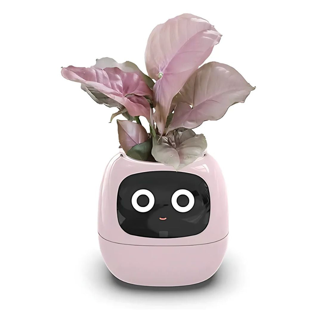 gadget – 16
