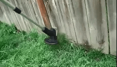 garden – 10
