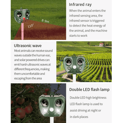 garden – 13