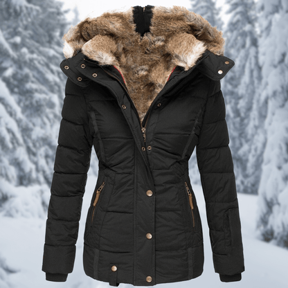 jacket – 3