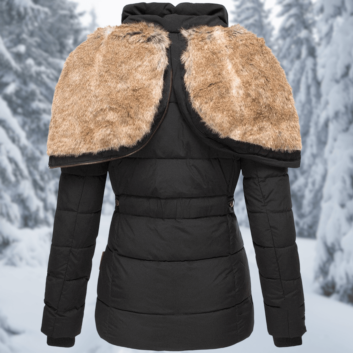 jacket – 6