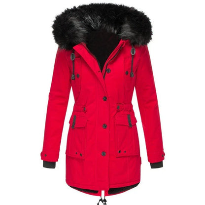 jacket – 2