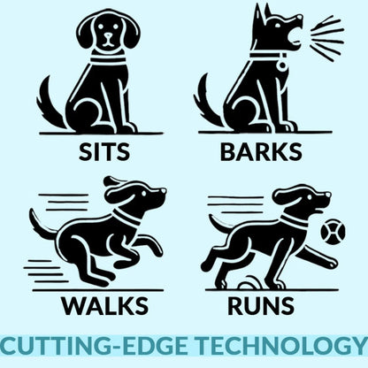pet – 5